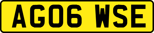 AG06WSE