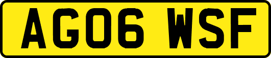 AG06WSF