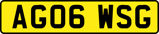 AG06WSG