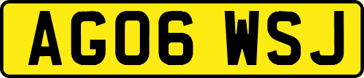 AG06WSJ