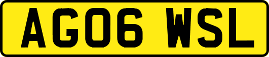 AG06WSL