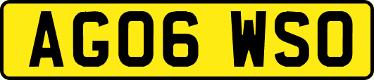 AG06WSO