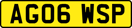 AG06WSP