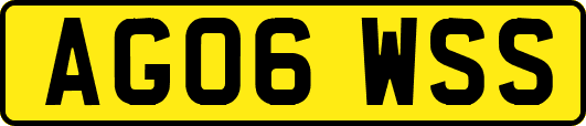 AG06WSS