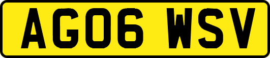 AG06WSV