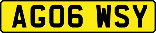 AG06WSY
