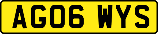 AG06WYS