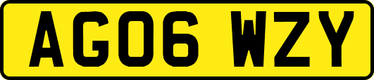 AG06WZY