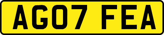 AG07FEA
