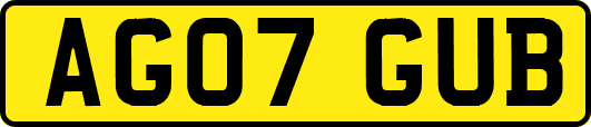 AG07GUB