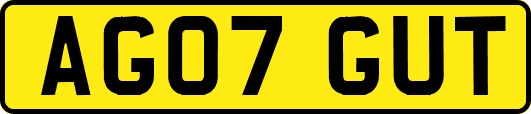 AG07GUT
