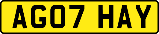 AG07HAY