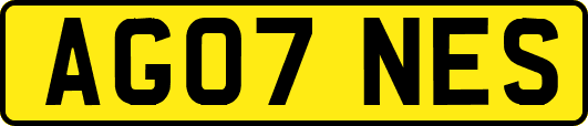 AG07NES