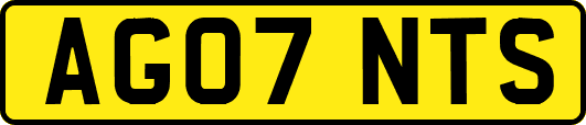 AG07NTS
