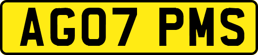 AG07PMS