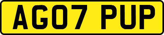 AG07PUP