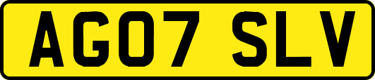 AG07SLV