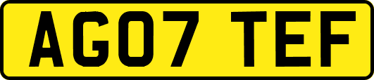 AG07TEF