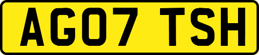 AG07TSH