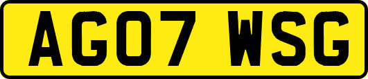 AG07WSG