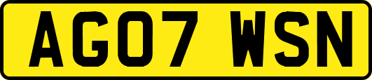 AG07WSN