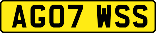 AG07WSS