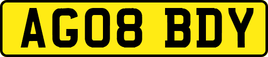 AG08BDY