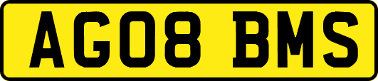 AG08BMS