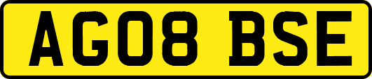 AG08BSE