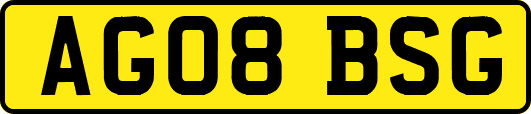 AG08BSG