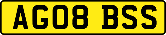 AG08BSS