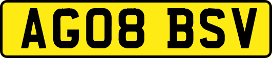 AG08BSV