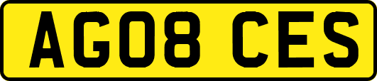 AG08CES