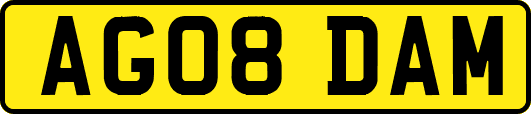 AG08DAM