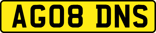 AG08DNS