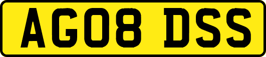 AG08DSS