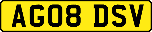 AG08DSV
