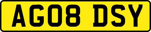 AG08DSY