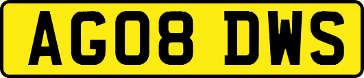 AG08DWS