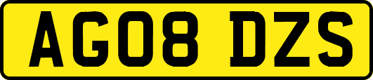 AG08DZS