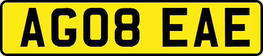 AG08EAE