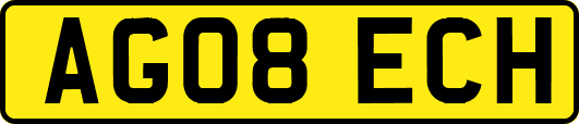 AG08ECH
