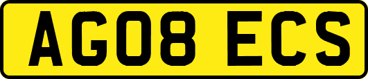 AG08ECS