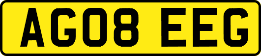 AG08EEG