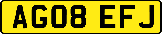 AG08EFJ