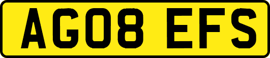 AG08EFS