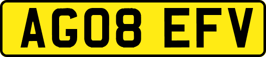 AG08EFV
