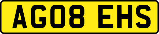 AG08EHS