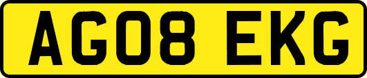 AG08EKG