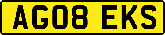 AG08EKS